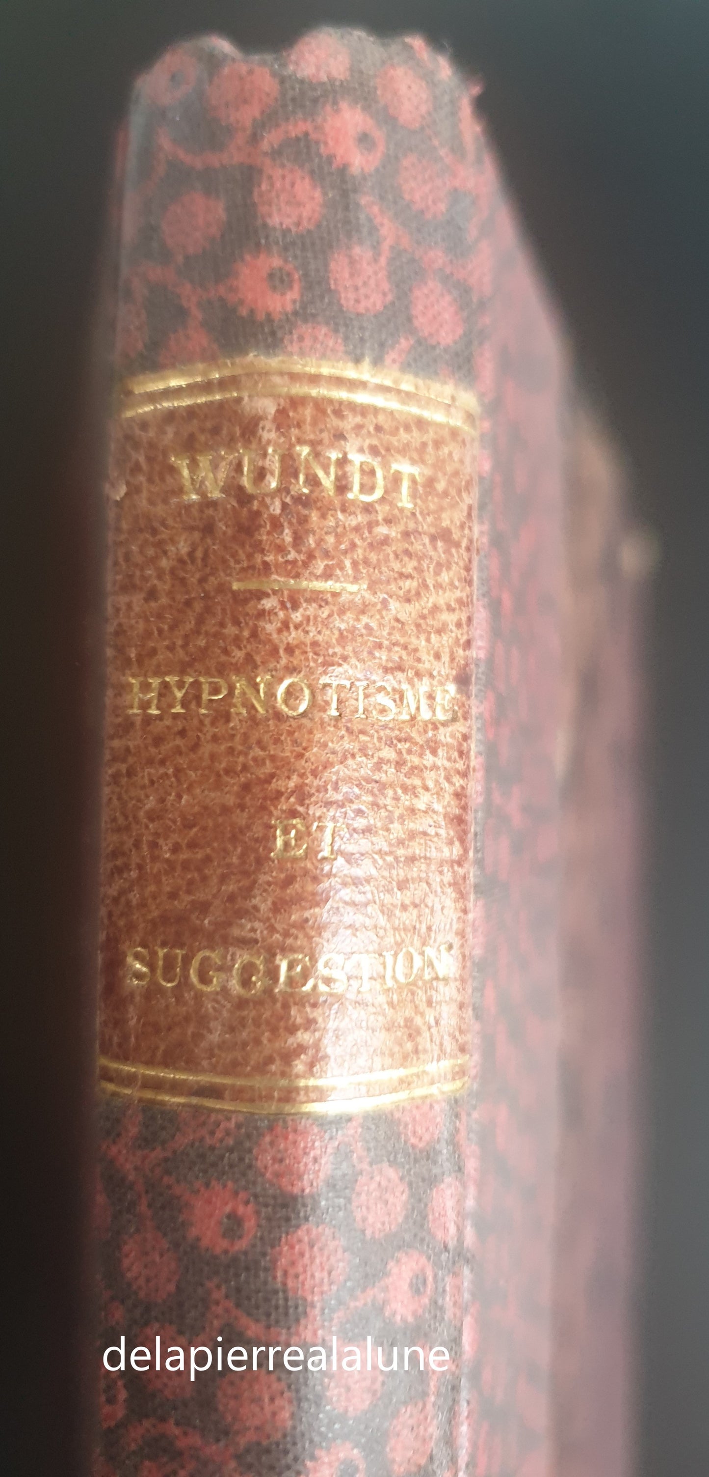 Livre -1893-HYPNOTISME & SUGGESTION ETUDE CRITIQUE PAR WUNDT -Livre Ref / Parapsychologie-Hypnose- new
